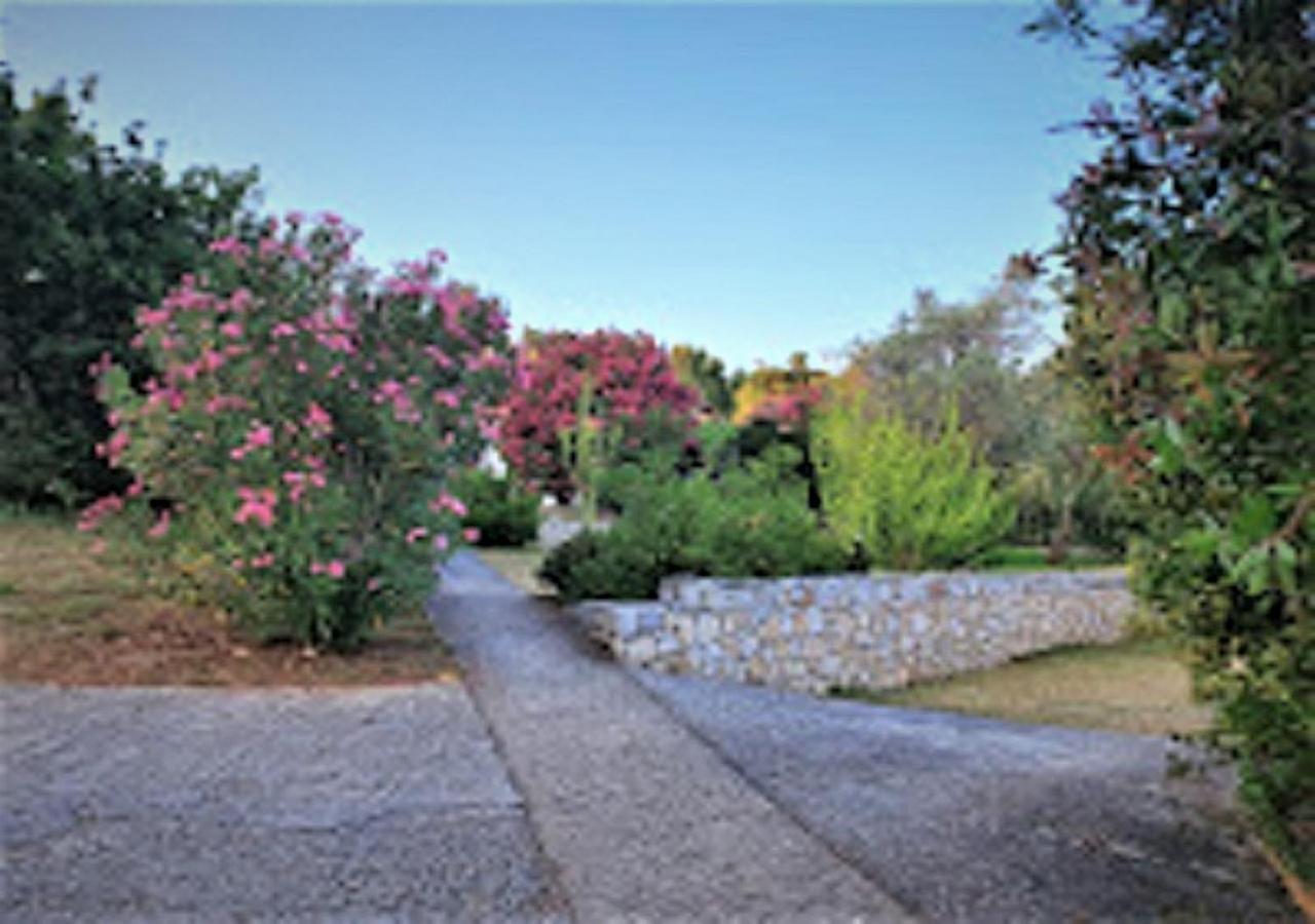 Kaiti 4 Villa