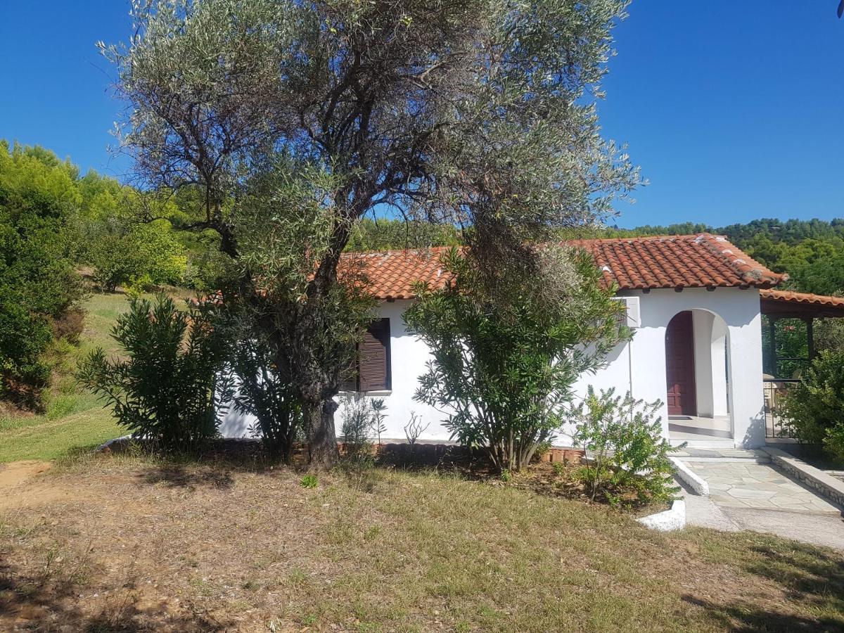 Kaiti 4 Villa Koukounaries