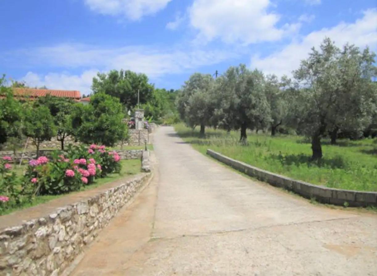 Kaiti 4 Villa *